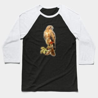 Red Tailed Hawk - Raptor Baseball T-Shirt